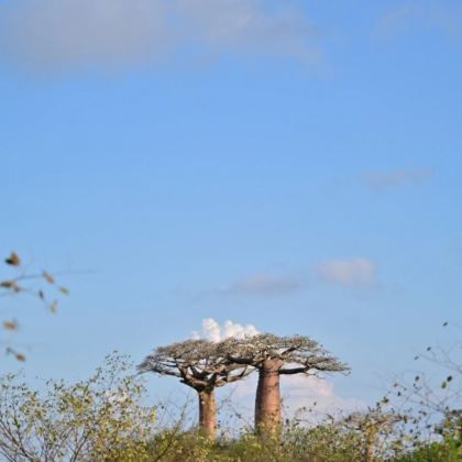 马达加斯加+毛里求斯+留尼汪（法属）+塞舌尔15日14晚私家团