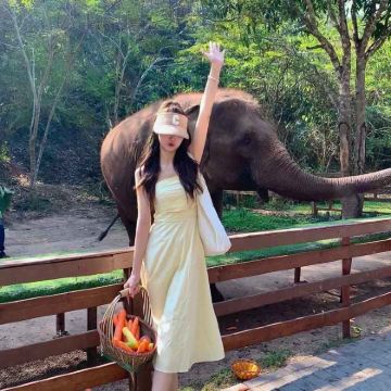 西双版纳+普洱+景迈山6日5晚自由行