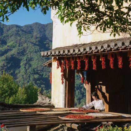 景德镇+婺源+三清山5日4晚跟团游