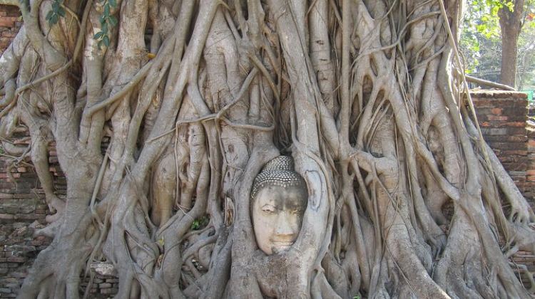 3-Day Bangkok and Ayutthaya 3 Days
