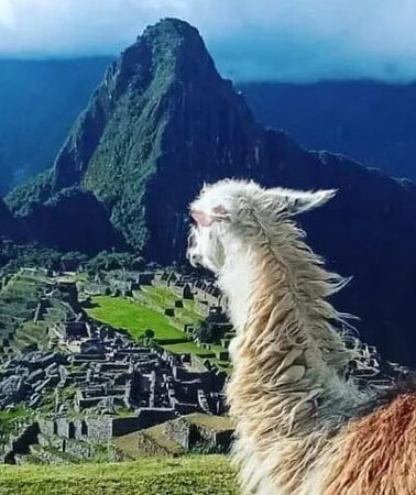 2D1N • Sacred Valley and Machu Picchu 2 days