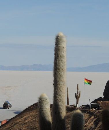 3D2N • Uyuni Salt Flats 3 days tour from Uyuni > Salt hostel included!