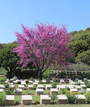2D1N • 2-Day Gallipoli and Troy Tour from Istanbul and return