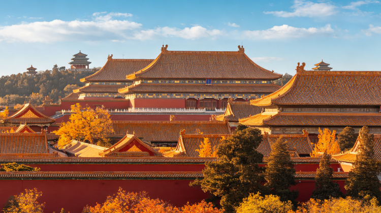 5-Day Soak up Beijing's autumn vibes while exploring top sights: The Palace Museum, Mutianyu Great Wall, Temple of Heaven & the hidden gem Lama Temple