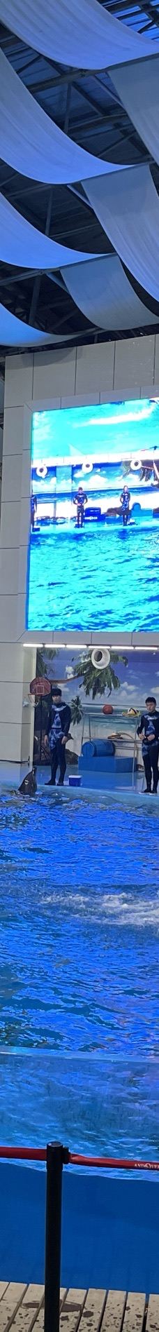 合肥海洋世界-合肥