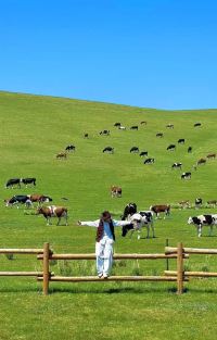 秦皇岛+北戴河+乌兰布统旅游区+木兰围场+承德避暑山庄+坝上6日5晚拼小团图片