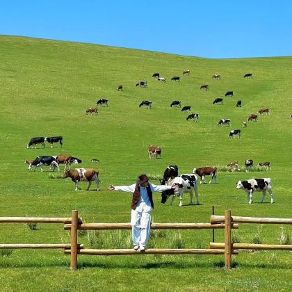 秦皇岛+北戴河+乌兰布统旅游区+木兰围场+承德避暑山庄+坝上6日5晚拼小团
