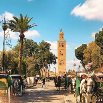 摩洛哥撒哈拉沙漠+非斯+舍夫沙万+马拉喀什+瓦尔扎扎特8日7晚私家团