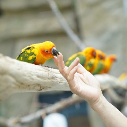 山东日照+海合安青岛极地海洋公园+青岛啤酒博物馆4日3晚跟团游