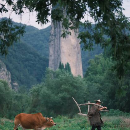 丽水3日2晚自由行