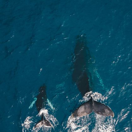 美国夏威夷欧胡岛+夏威夷岛7日6晚私家团