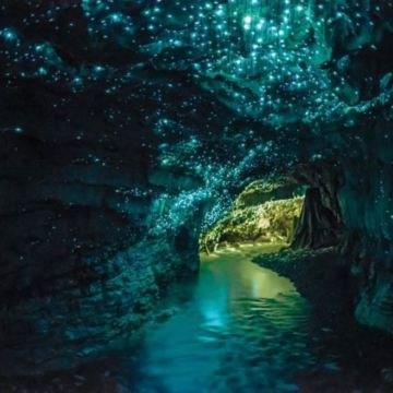 新西兰北岛+南岛20日18晚私家团