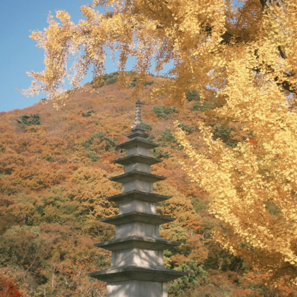 韩国首尔+釜山5日4晚私家团