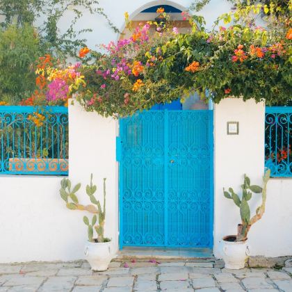 突尼斯+凯鲁万+托泽尔+苏斯9日7晚私家团