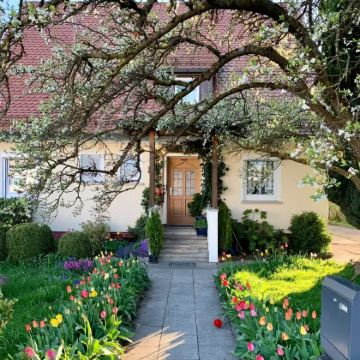 德国11日9晚私家团