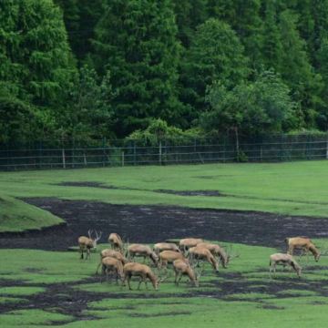 扬州+泰州3日2晚私家团