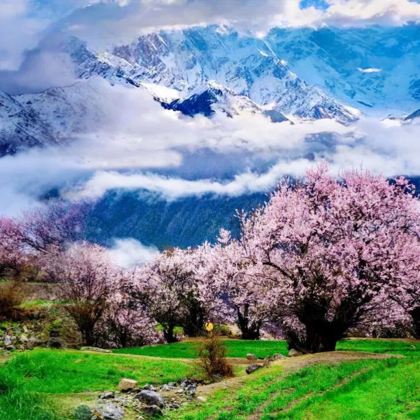 拉萨+林芝6日5晚私家团