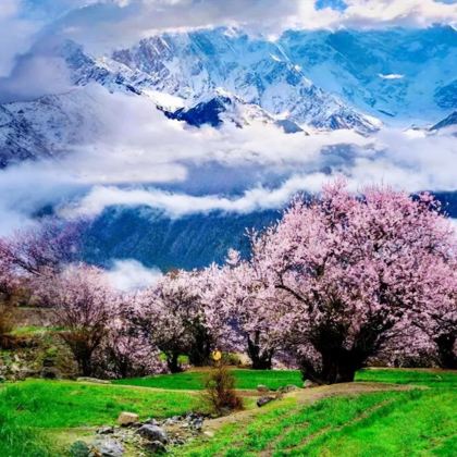 布达拉宫+林芝+雅鲁藏布大峡谷+羊卓雍错+纳木措景区6日5晚私家团