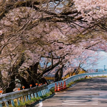 日本名古屋+下吕市+金泽6日5晚私家团