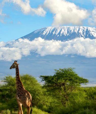 10D9N • Kenya Mashamara National Reserve + Amboseli National Park Deep Hunting Tour