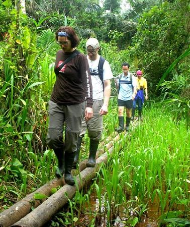 4D3N • 4-Day Private Tour to Manu National Park from Cusco