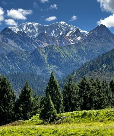 8D7N • 'Flight & train ticket booking' Lhasa + Nyingchi + Potala Palace + Basum Tso Lake + Yamdrok Lake & Namtso Lake