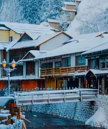 2D1N • 2-Day Tour From Tokyo: Ginzan Onsen Zao Chuo Ropeway & more