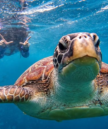 4D3N • From Puerto Princesa: Port Barton 4D3N Island & Land Tour