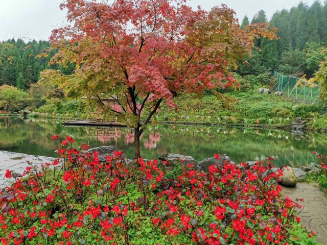川西红枫岭旅行图片 1