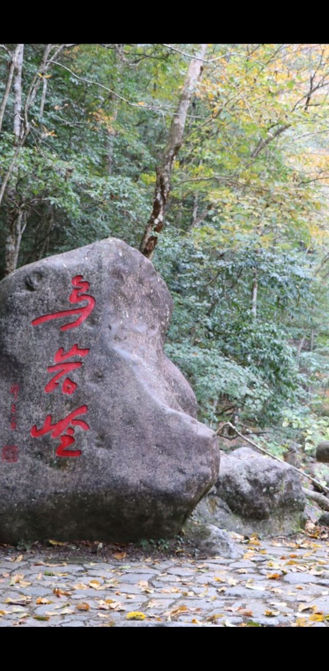浙江乌岩岭国家级自然保护区旅行图片 2