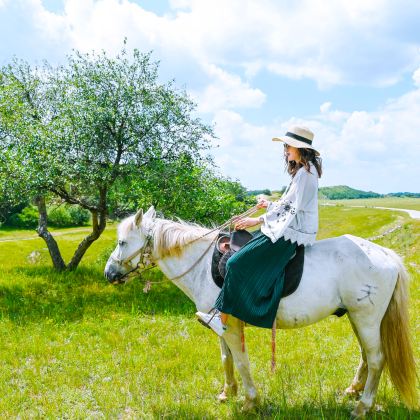 内蒙古呼伦贝尔+满洲里+额尔古纳+海拉尔+呼伦贝尔大草原6日5晚自由行