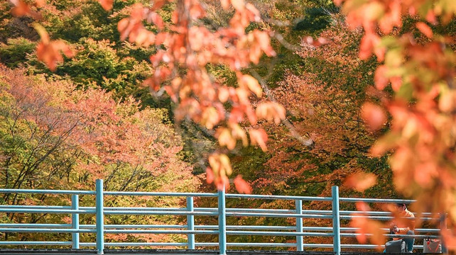 川西秘境之旅：色达佛国与稻城亚丁攻略