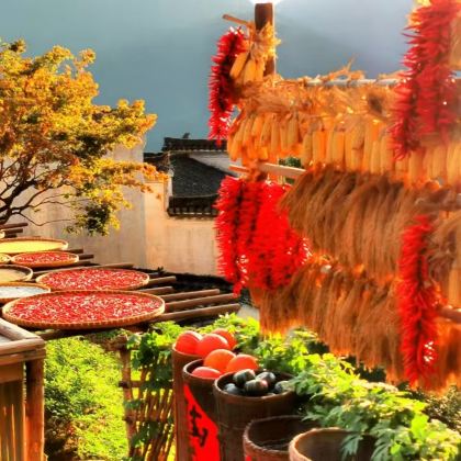 江西景德镇+婺源3日2晚拼小团