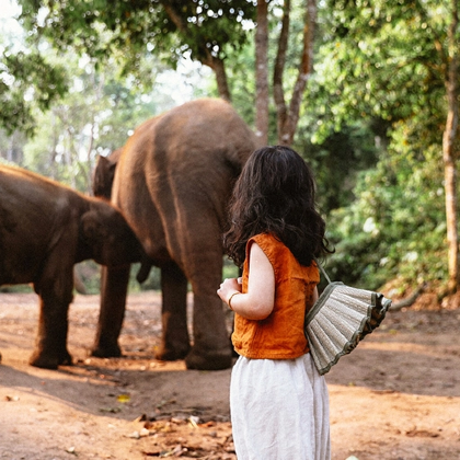 云南西双版纳+野象谷+中国科学院西双版纳热带植物园5日4晚拼小团
