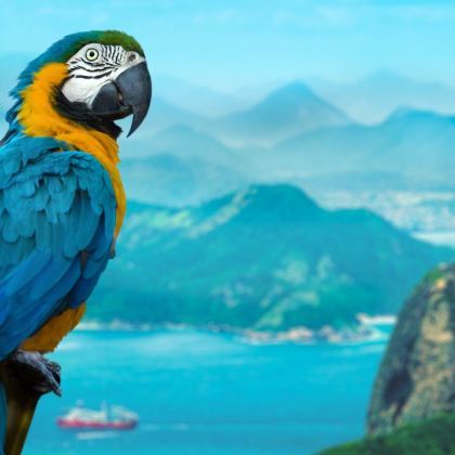 巴西马瑙斯+亚马逊雨林3日2晚拼小团