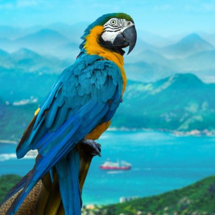 巴西里约热内卢+圣保罗+亚马逊雨林9日8晚拼小团