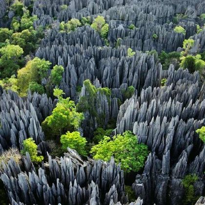 马达加斯加+塞舌尔12日9晚自由行
