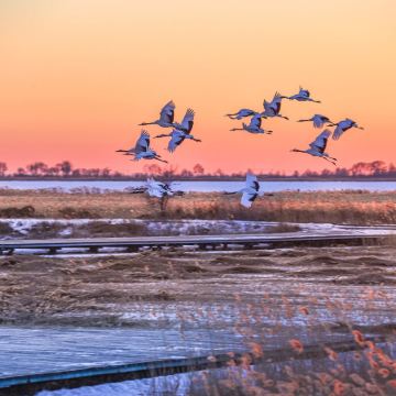 扎龙生态旅游区+龙沙动植物园+龙沙公园+水师森林温泉度假区3日2晚私家团