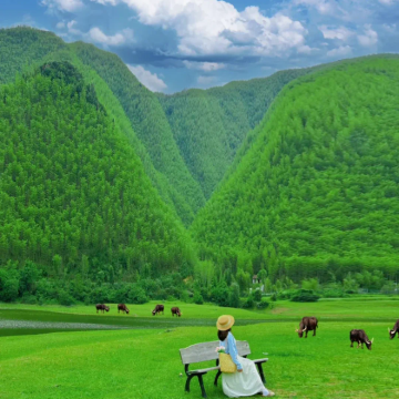 桐庐+莫干山4日3晚私家团
