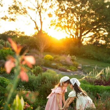 厦门+鼓浪屿3日2晚私家团