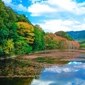 日光东照宫+中禅寺湖2日1晚私家团