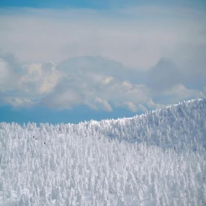日本山形+秋田+青森+藏王温泉滑雪场+十和田湖+奥入濑溪流10日9晚自由行