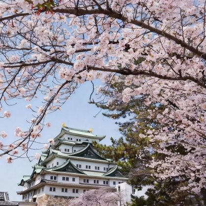 日本名古屋+金泽+飞弹高地6日5晚私家团