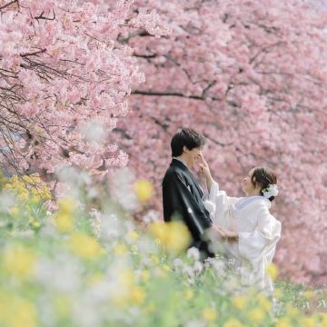 日本东京+富士山5日4晚私家团