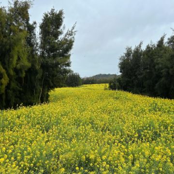 莆田+湄洲岛4日3晚私家团