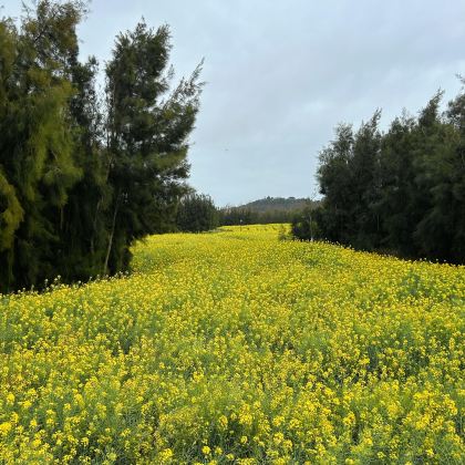 莆田+湄洲岛4日3晚私家团