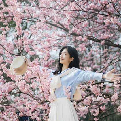 武汉+黄鹤楼+长江三峡+三峡大坝2日1晚跟团游