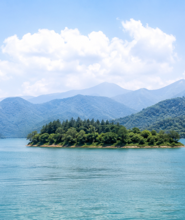 5日4晚 • 森呼吸南投杉林溪、台中、台北 環島