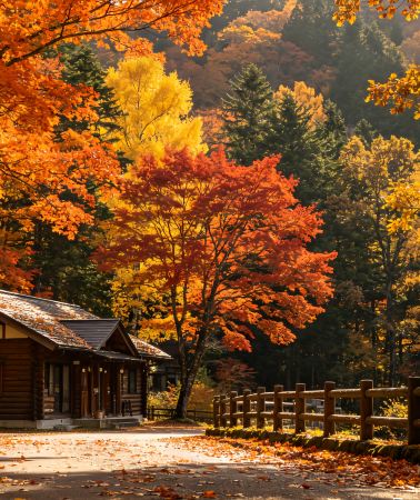 2D1N • Japan + Tokyo. Free custom itinerary available if you are not satisfied with the original plan