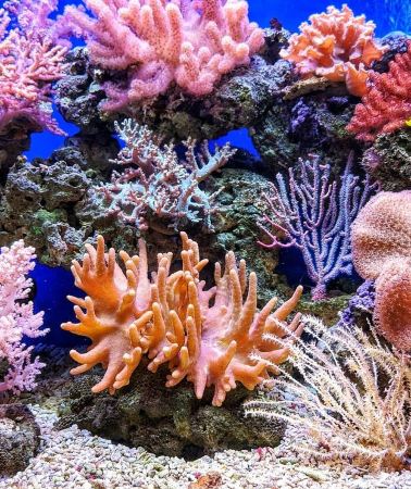 2D1N • Puerto Galera: 2-Day Beach and Snorkeling Tour